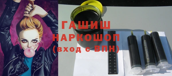 шишки Надым
