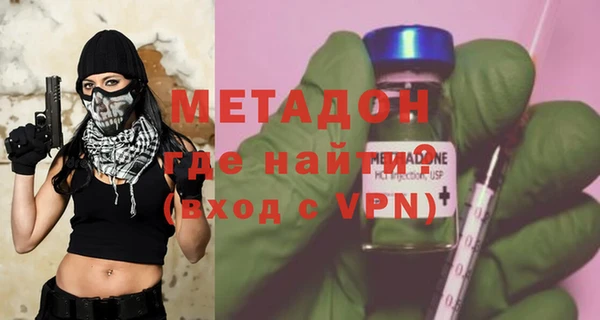 шишки Надым