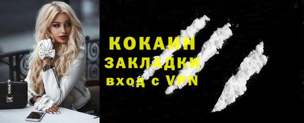 шишки Надым