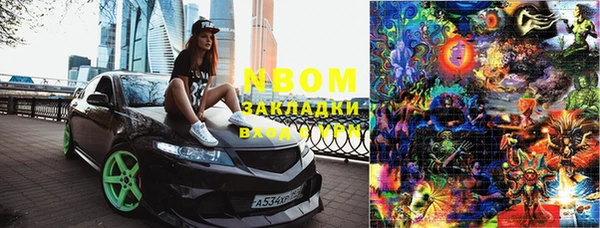 шишки Надым