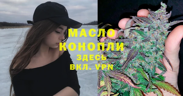 шишки Надым