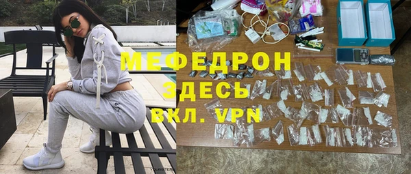 шишки Надым