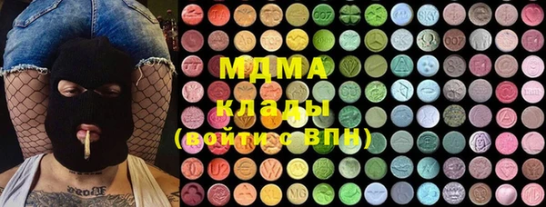 шишки Надым
