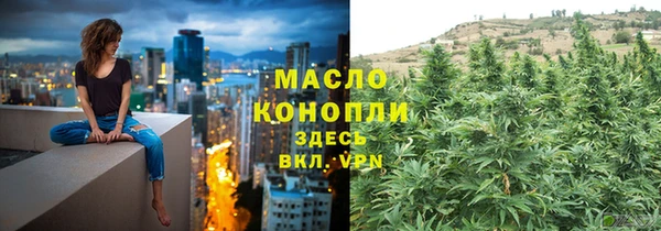 шишки Надым
