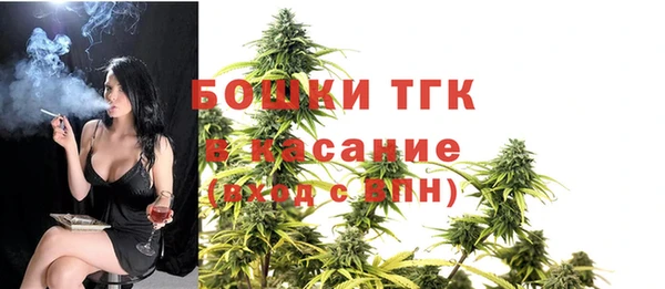 шишки Надым
