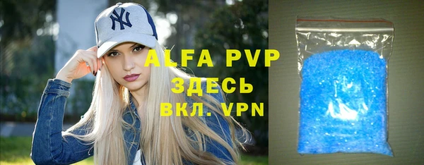 шишки Надым