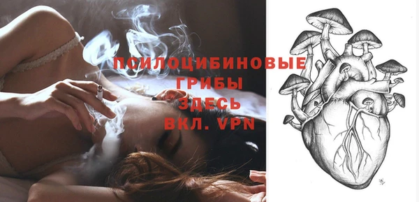 шишки Надым