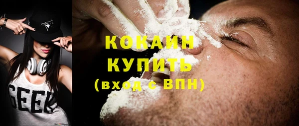 шишки Надым
